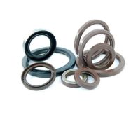 Fluorocarbon Seals – Fluorocarbon (Viton/FKM) Seals for High Temp &amp; Chemical Resistance, Excellent Oil Resistance, Leak Proof Performance